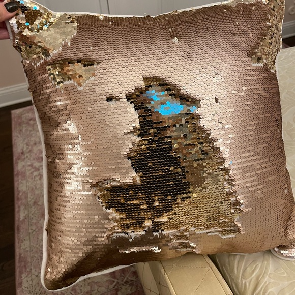 Pottery Barn Kids Throw Pillows - Picture 3 of 3